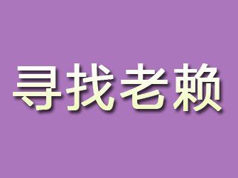 龙凤寻找老赖