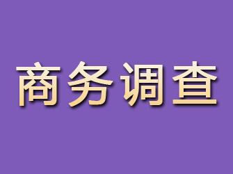 龙凤商务调查